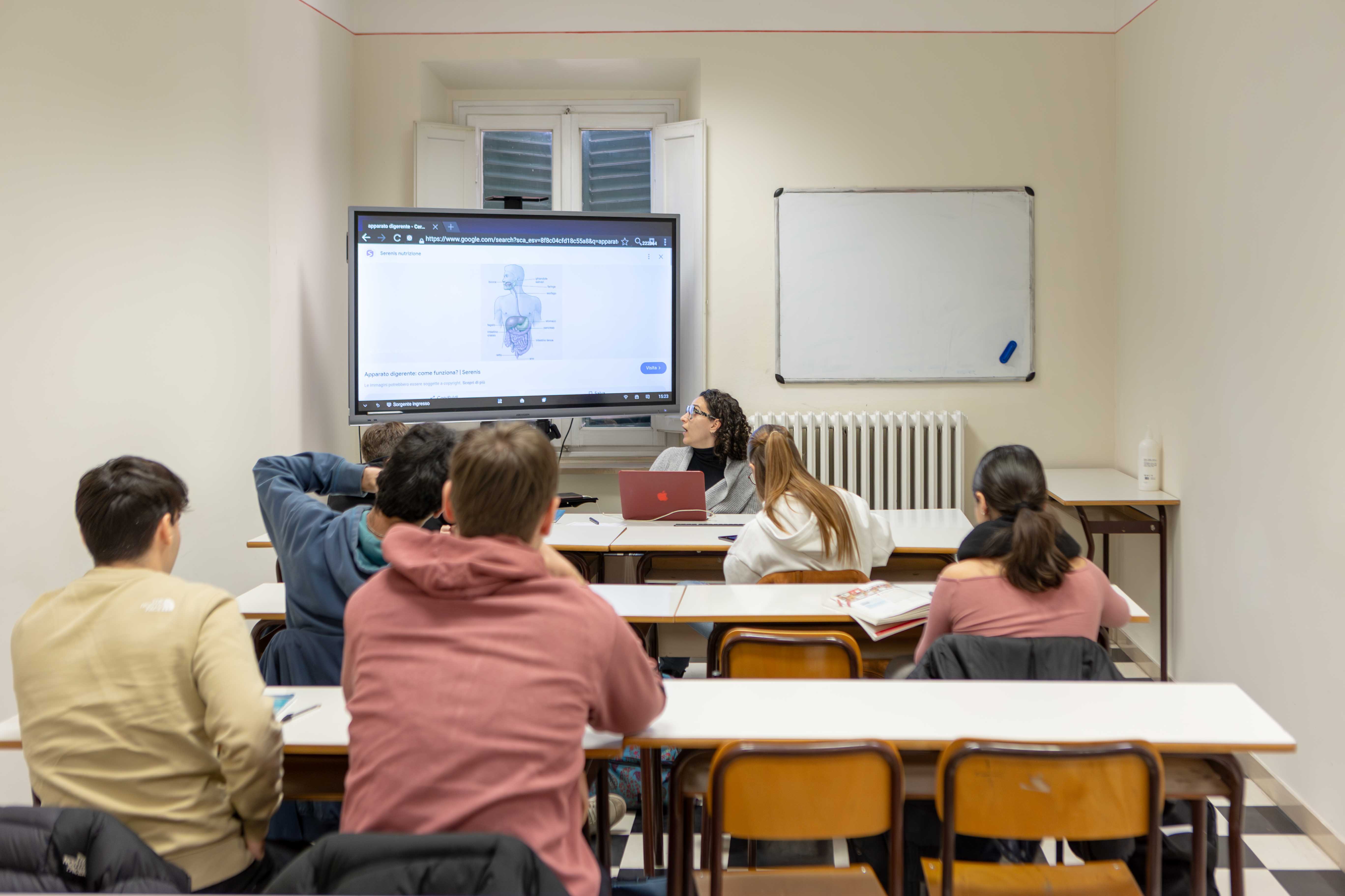 Attività Pisa